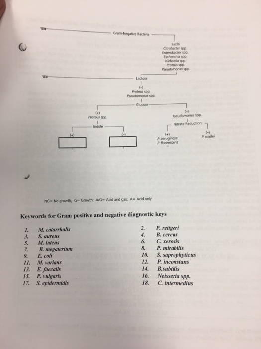 Solved Complete the diagnostic keys Investigate | Chegg.com