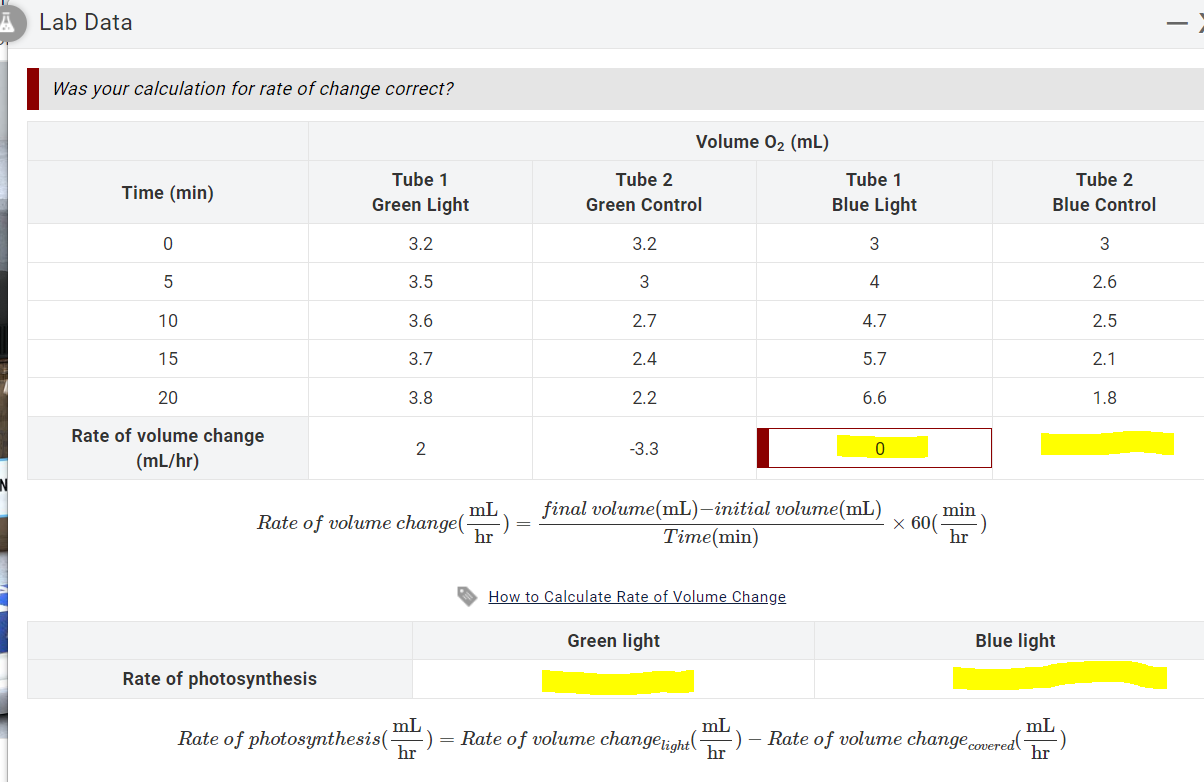 Solved Was your calculation for rate of change correct? Rate | Chegg.com