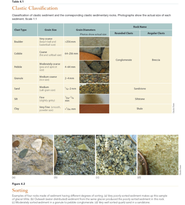 Solved LAB 4 Sedimentary Rocks OBJECTIVES To understand how