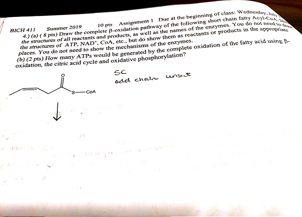 Solved 4.) ( 10 pts) (a) Draw out pathway beginning with