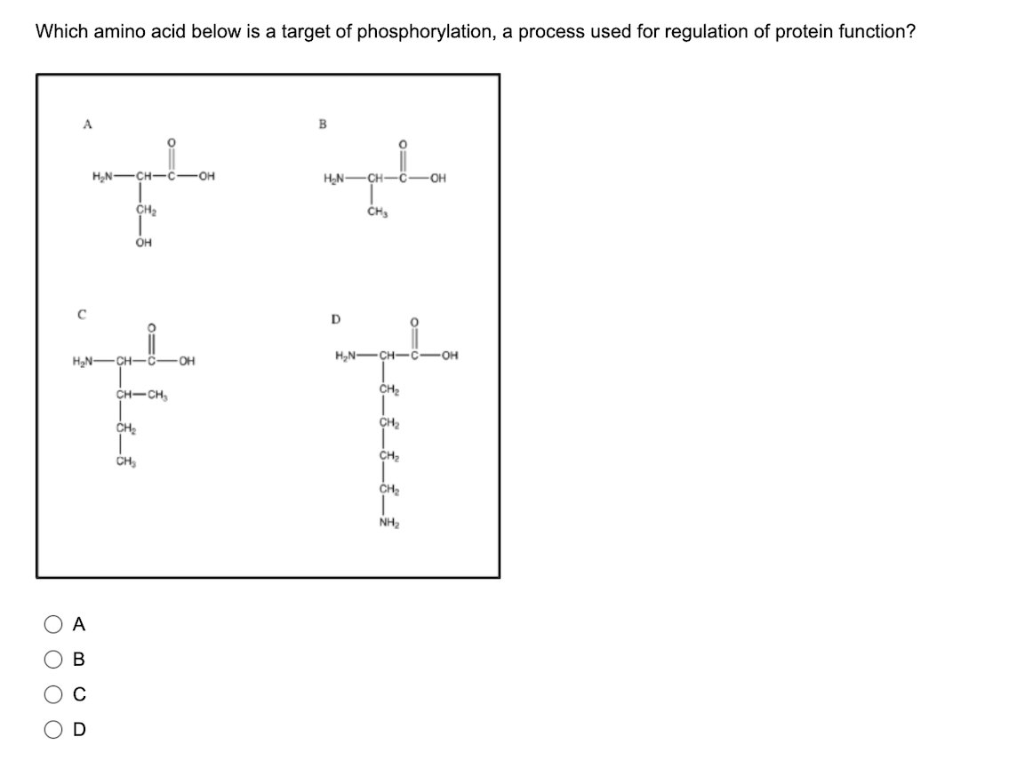 Solved Which amino acid below is a target of