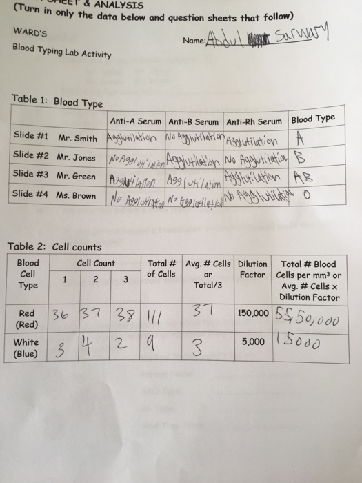 Solved Name Abaul Sarwar WARD S Blood Typing Lab Activity Chegg