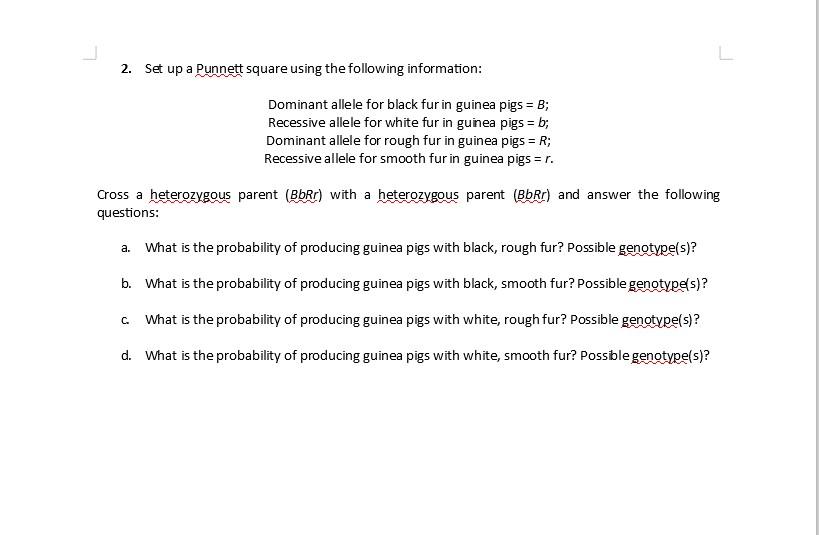 Solved 2. Set up a Punnett square using the following | Chegg.com
