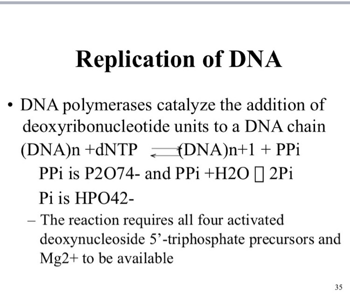 Solved Replication of DNA DNA polymerases catalyze the | Chegg.com