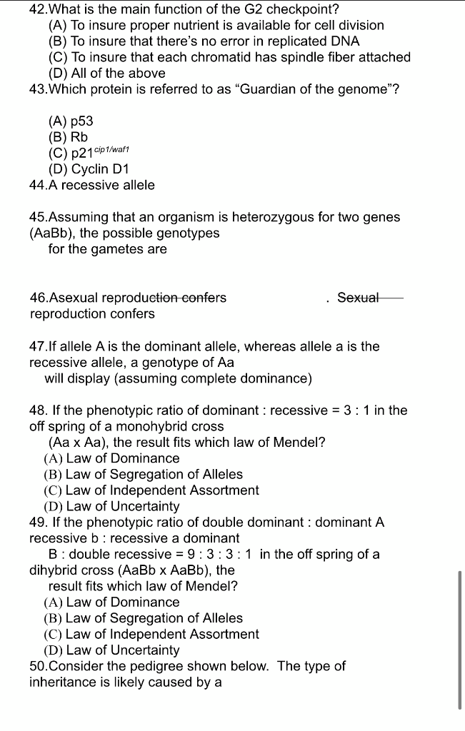Solved 42What is the main function of the G2 checkpoint Biology Diagrams