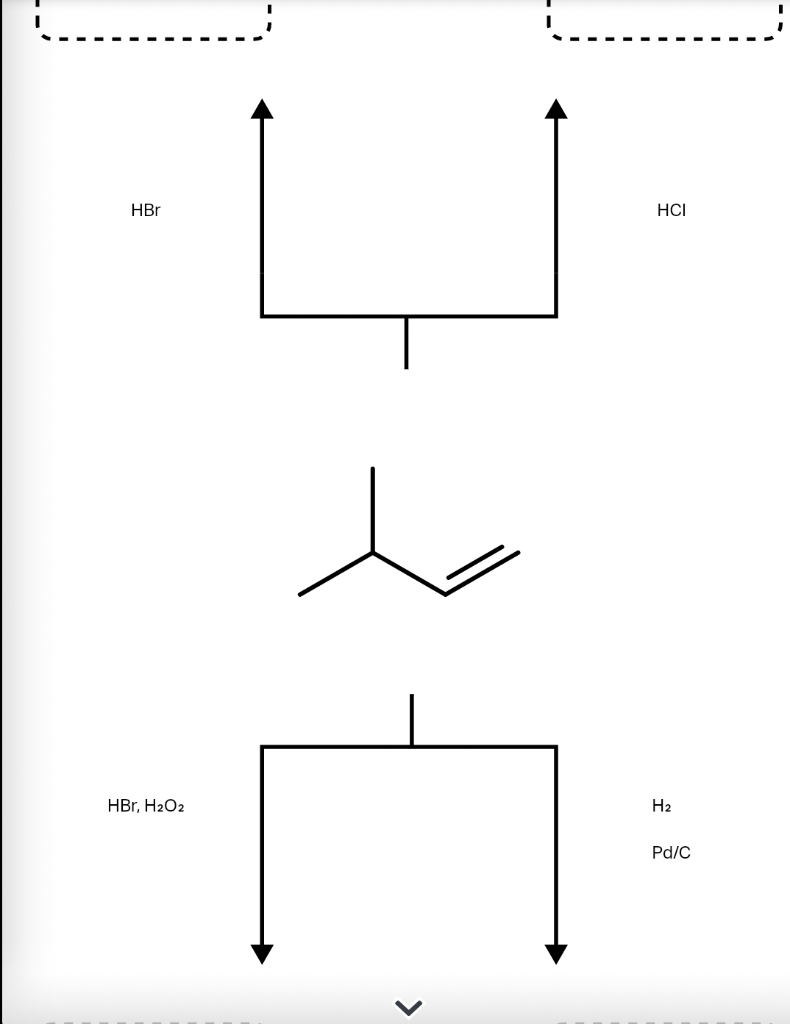 Solved A common alkene starting material is shown below.