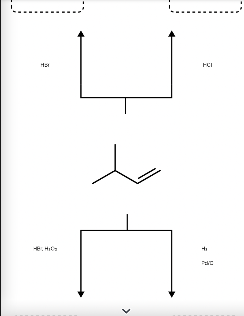 Solved A common alkene starting material is shown below. | Chegg.com