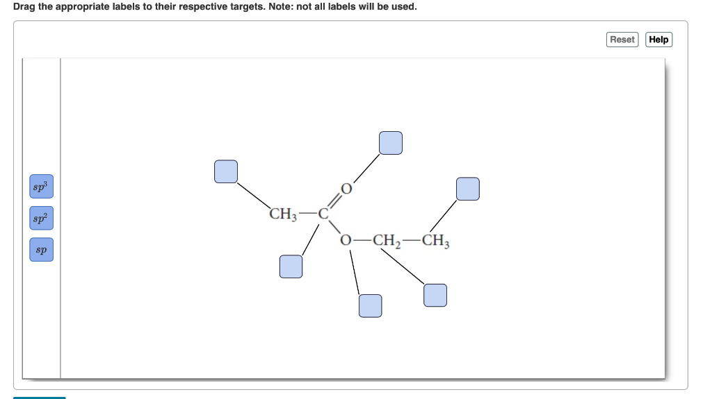 Solved Drag the appropriate labels to their respective | Chegg.com