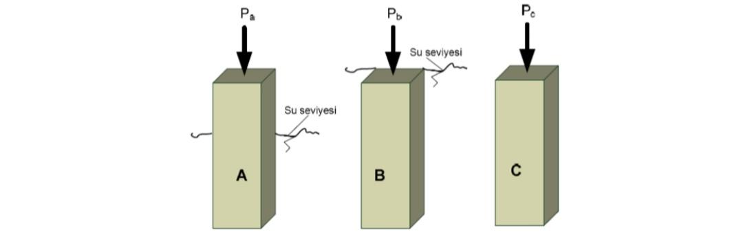 Solved Columns A, B And C Shown In The Figure Were Produced | Chegg.com