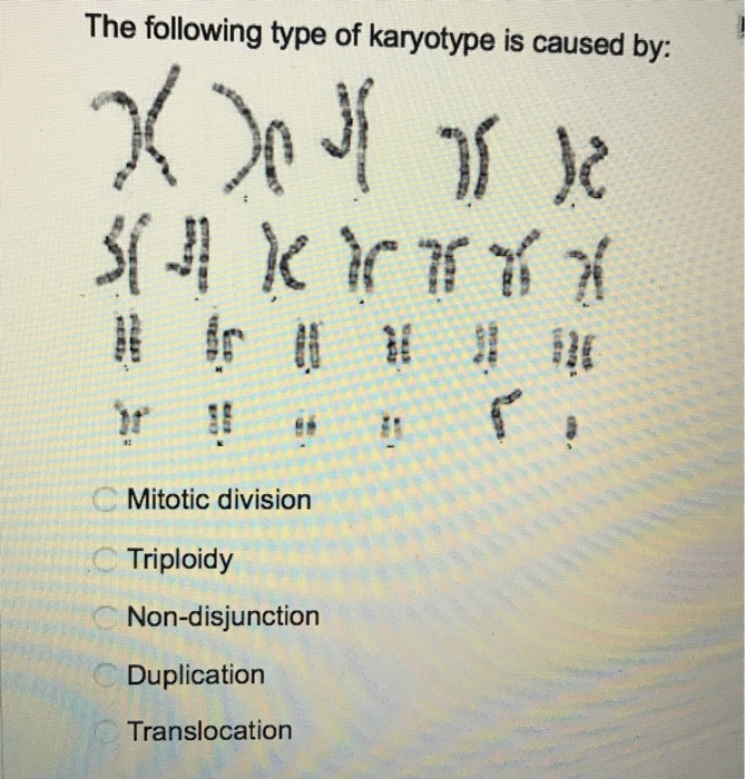 Solved The following type of karyotype is caused by: Mitotic | Chegg.com