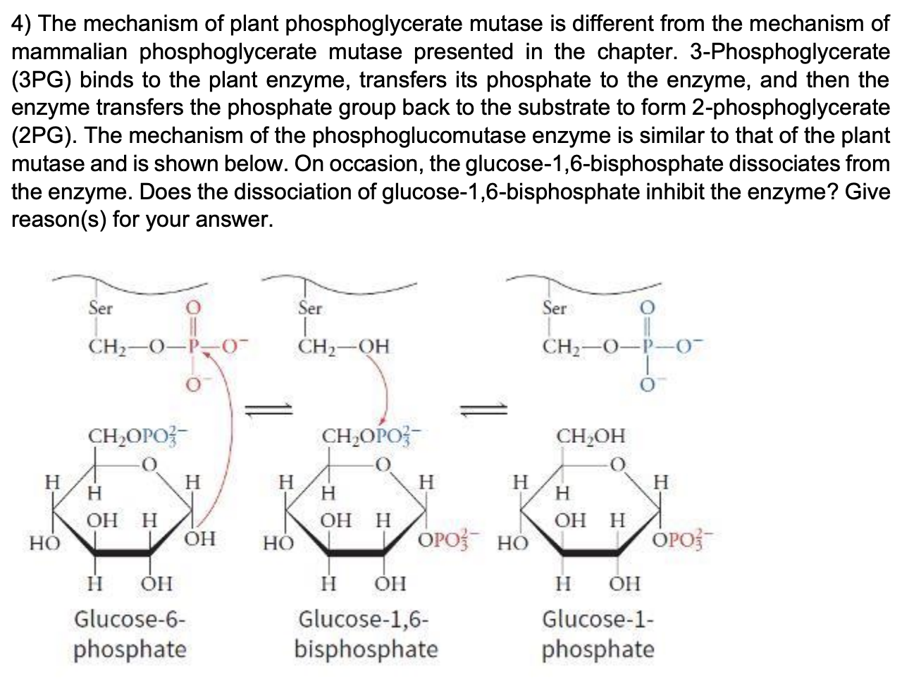 Solved 4) The mechanism of plant phosphoglycerate mutase is | Chegg.com