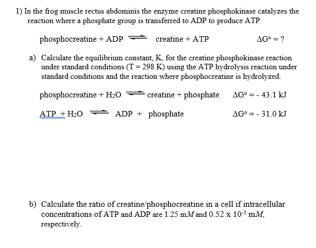 Solved 1) In the frog muscle rectus abdominis the enzyme | Chegg.com
