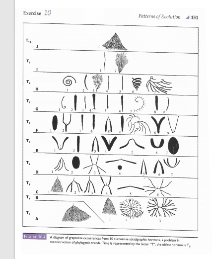 Exercise 10 Patterns of Evolution PART B Figure 10.4 | Chegg.com