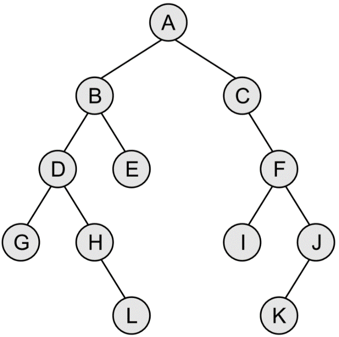 Solved Write a C program to read a binary tree from the user | Chegg.com