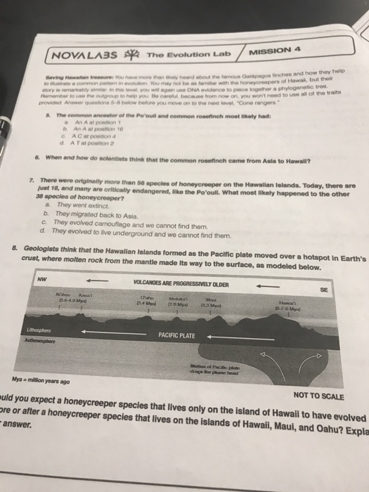 Nova Labs The Evolution Lab Mission 6 Answer Key Pdf — Villardigital