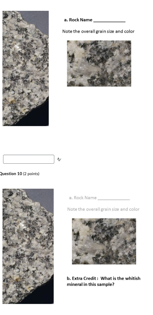 Solved Note the overall grain size and color Question 10 ( 2 | Chegg.com