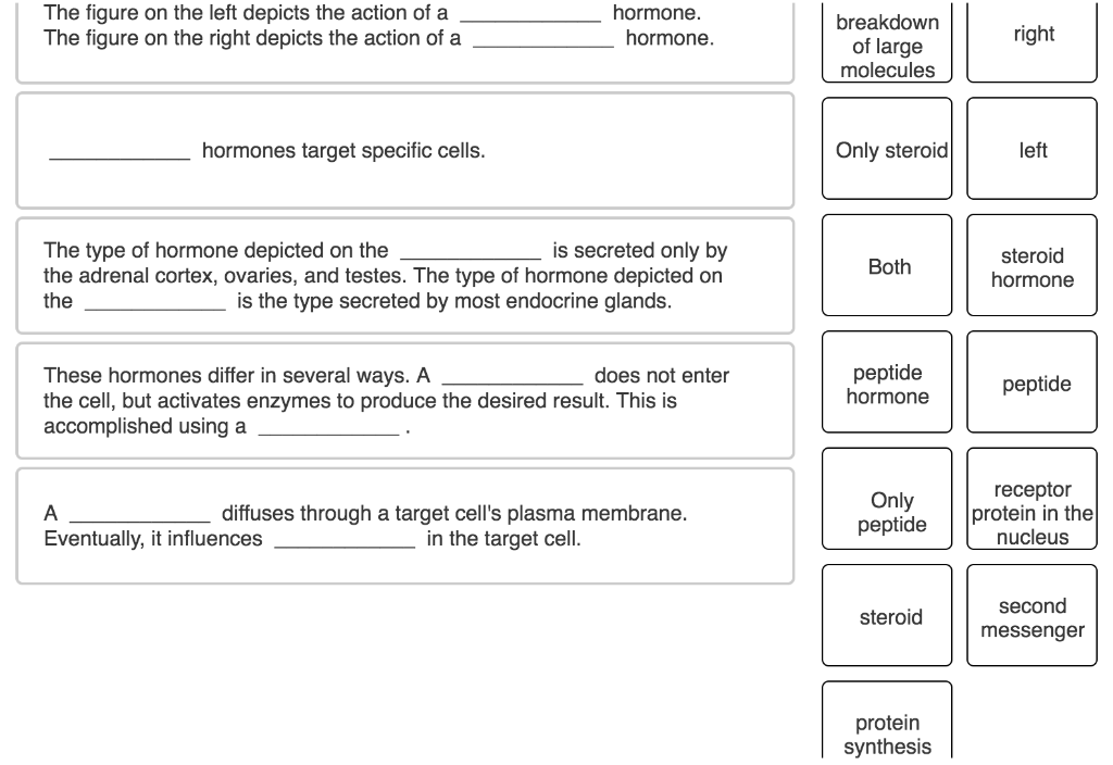 Solved Complete the following descriptions and | Chegg.com