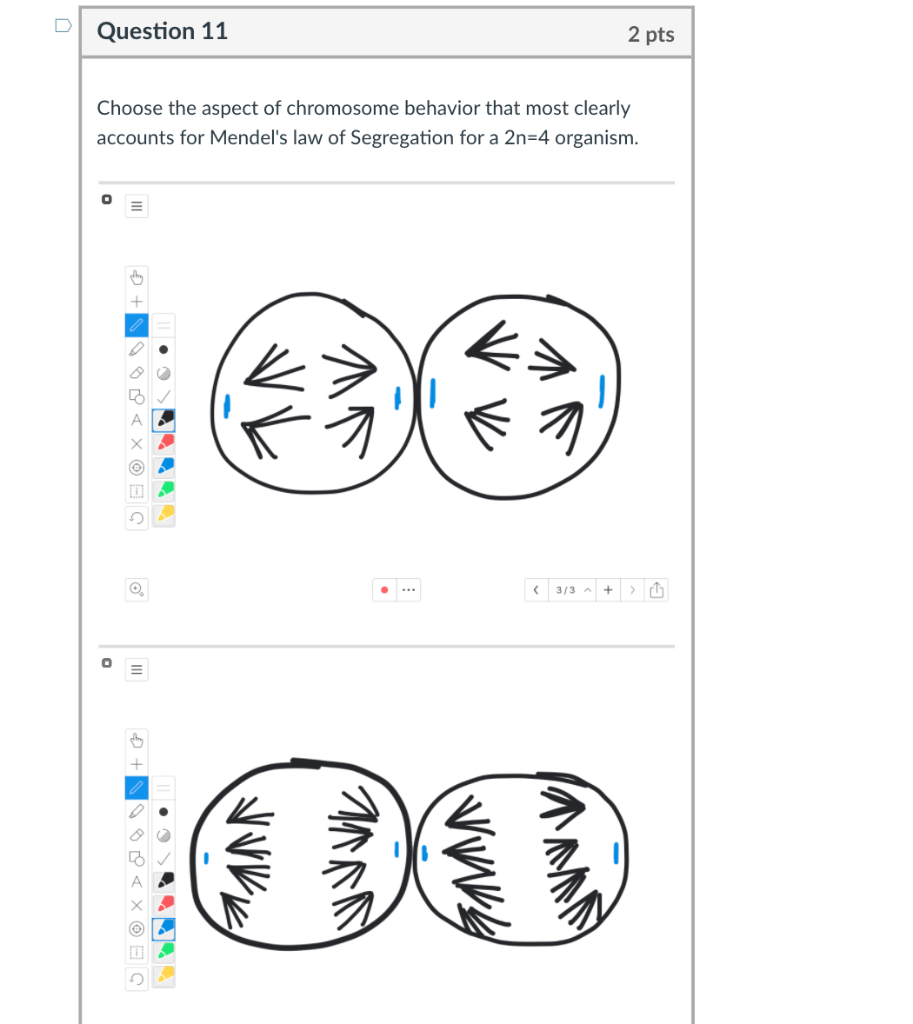Solved D Question 11 2 pts Choose the aspect of chromosome | Chegg.com