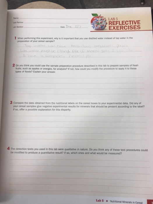Solved LAB 5 REFLECTIVE EXERCISES Lab Partner Lab Section | Chegg.com