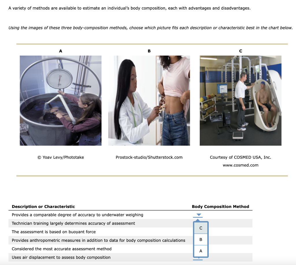 Body composition methods compared