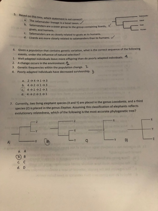 Solved S Based On This Tree Which Statement Is Not Correc Chegg