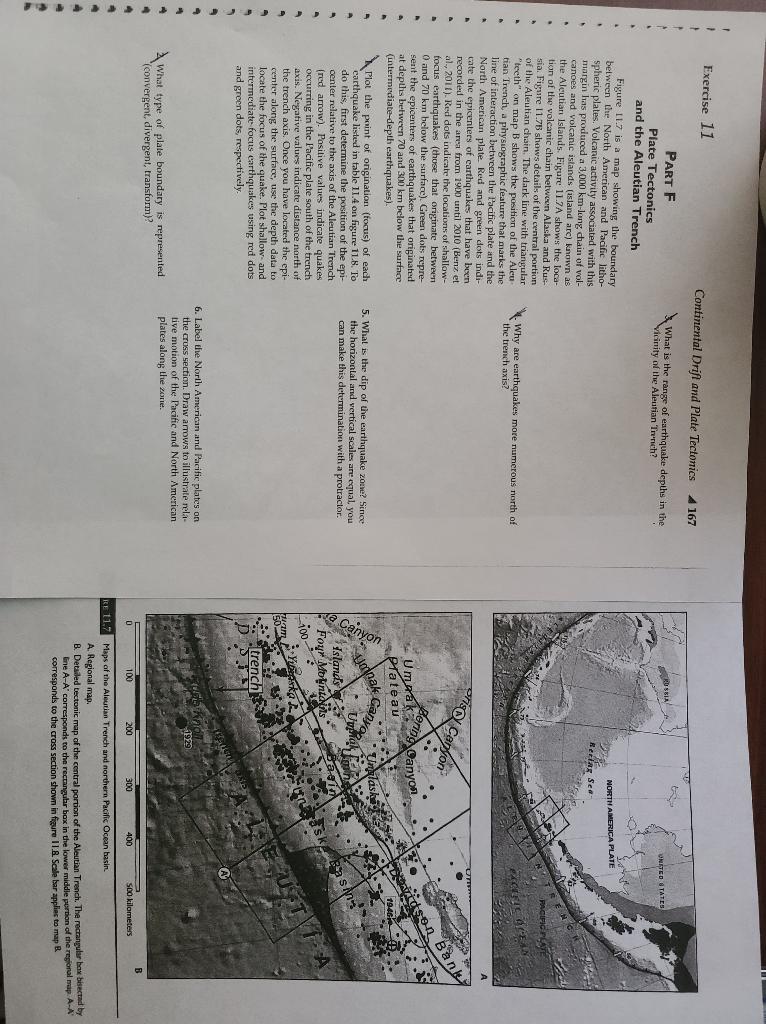 Solved Exercise 11 Continental Drift and Plate Tectonics 169 | Chegg.com