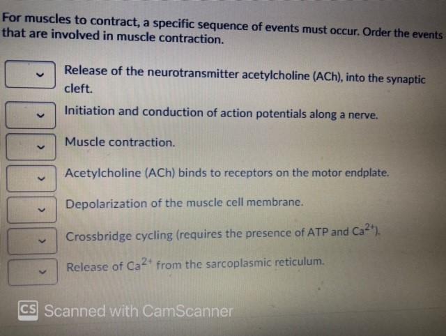 solved-for-muscles-to-contract-a-specific-sequence-of-chegg