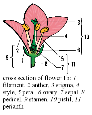 Q1. Hough-Transform for line detection. Implement a | Chegg.com