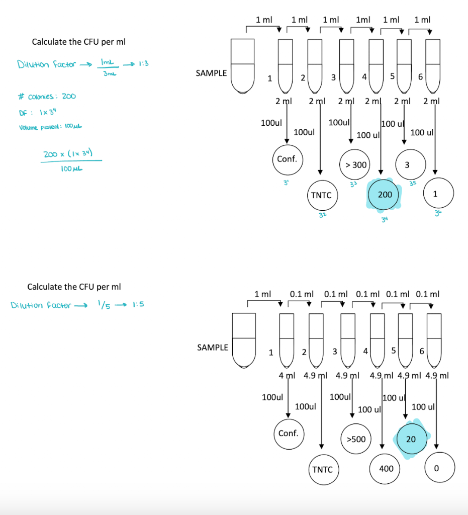 Solved Not sure I am doing these correctly. can you please | Chegg.com