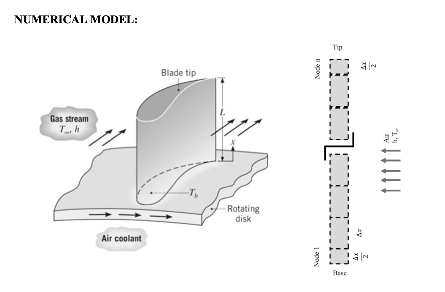 Goal: Build and compare a numerical model to the | Chegg.com