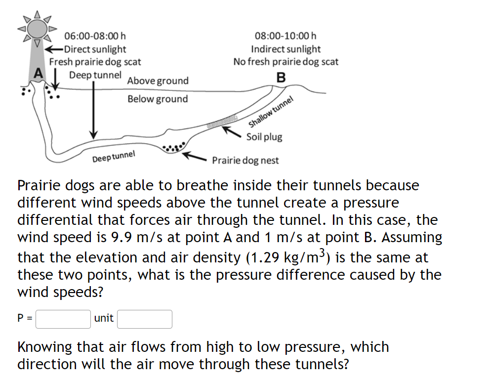 Prairie dogs are able to breathe inside their tunnels because different wind speeds above the tunnel create a pressure differ