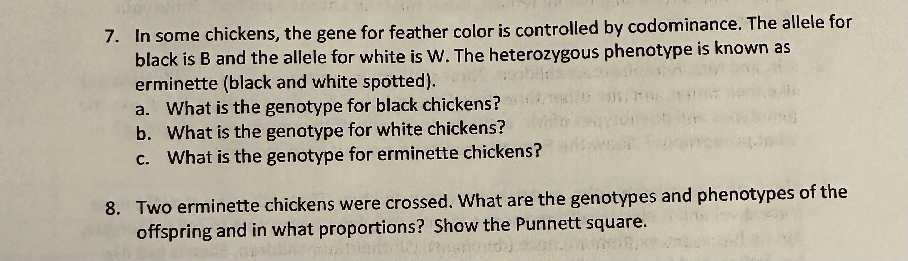 Solved 7. In some chickens, the gene for feather color is | Chegg.com