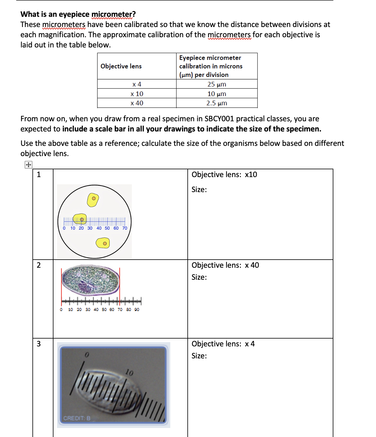 Solved What is an eyepiece micrometer? These micrometers