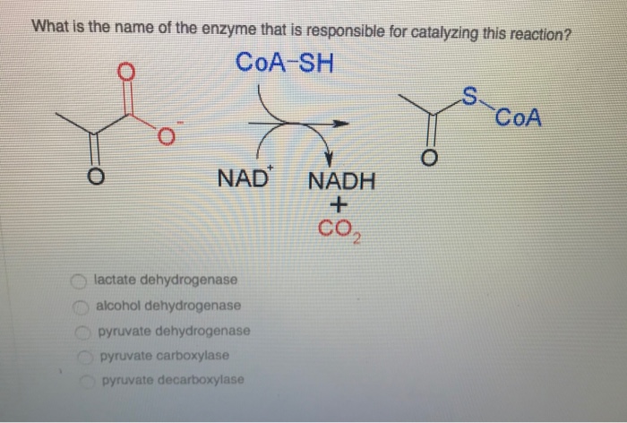 Solved What is the name of the enzyme that catalyzes the | Chegg.com
