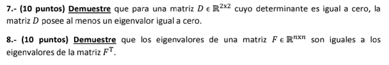 7.- (10 puntos) Demuestre que para una matriz \( D \in \mathbb{R}^{2 \times 2} \) cuyo determinante es igual a cero, la matri