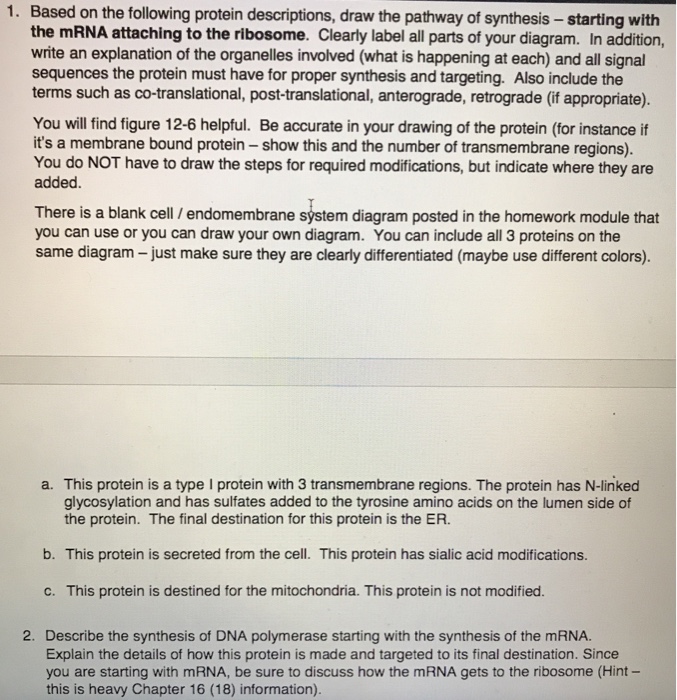 Solved 1. Based on the following protein descriptions, draw | Chegg.com