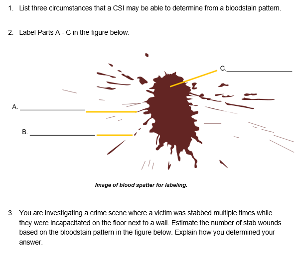 1. list three circumstances that a csi may be able to determine from a bloodstain pattern. 2. label parts a c in the figure b