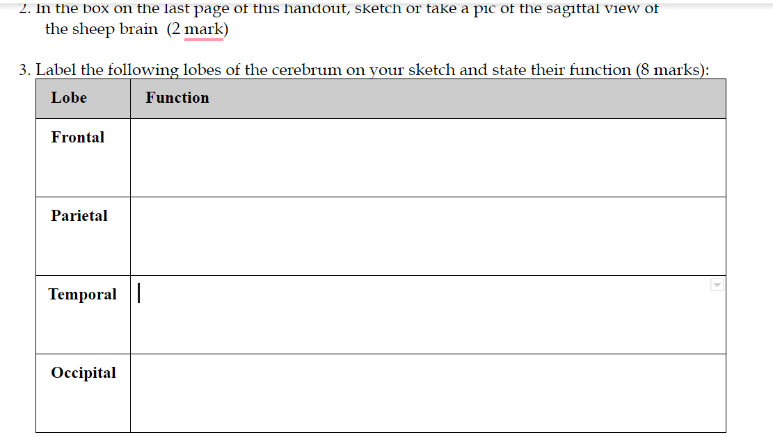 Solved Cross Sections Of The Brain Sagittal Plane 1. Observe | Chegg.com