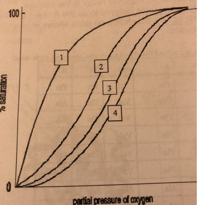 Solved If curve 3 represents the binding of oxygen to normal | Chegg.com