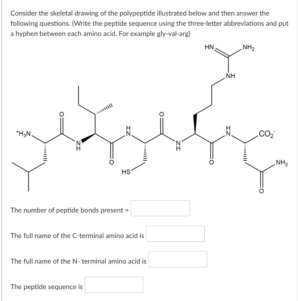 Solved Consider The Skeletal Drawing Of The Polypeptide | Chegg.com