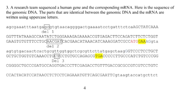 Solved 3. A research team sequenced a human gene and the | Chegg.com