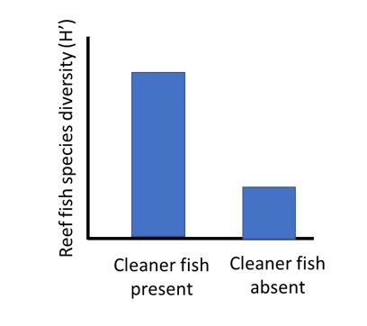 Reef Fish - Woods Hole Oceanographic Institution