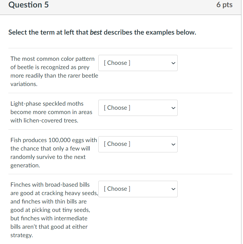 Solved Question 5 6 pts Select the term at left that best | Chegg.com