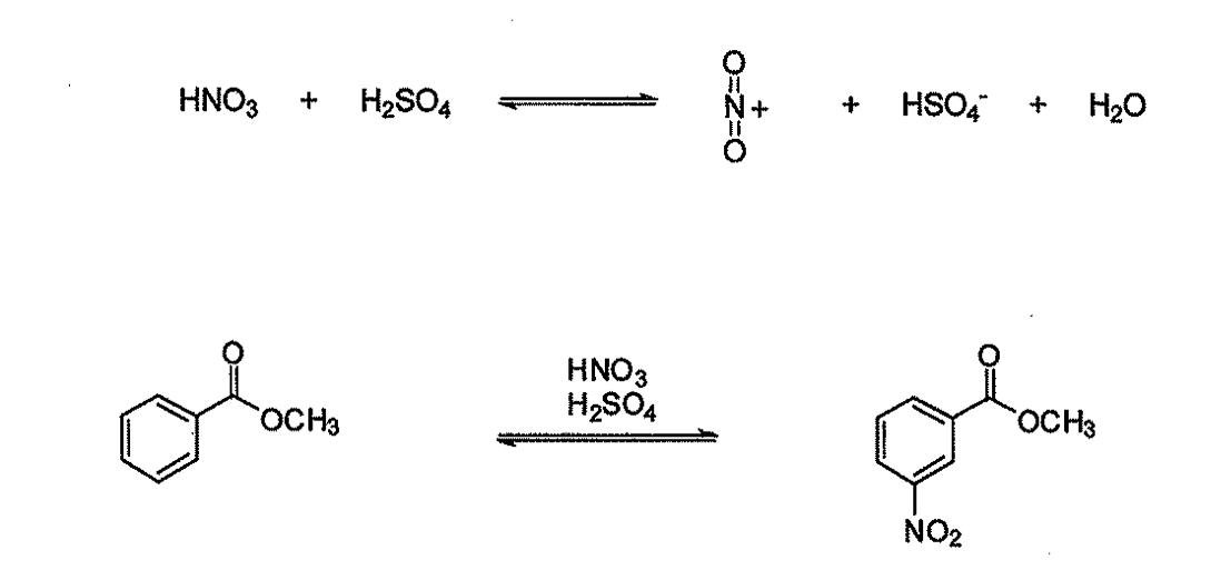 Solved HNO3 + H2SO4 o-ž-0 + HSO4 H20 HNO3 H2SO4 OCH3 OCH3 | Chegg.com