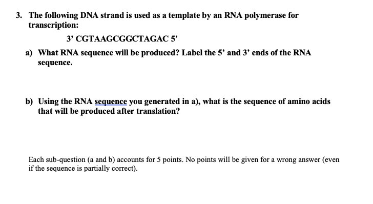 solved 3 the following dna strand is
