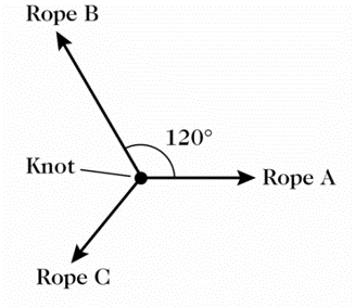 Three Ropes Triangle Solved Three ropes are tied in a knot as indicated in Figure | Chegg.com