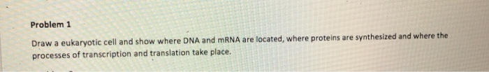 Solved Problem 1 Draw a eukaryotic cell and show where DNA | Chegg.com