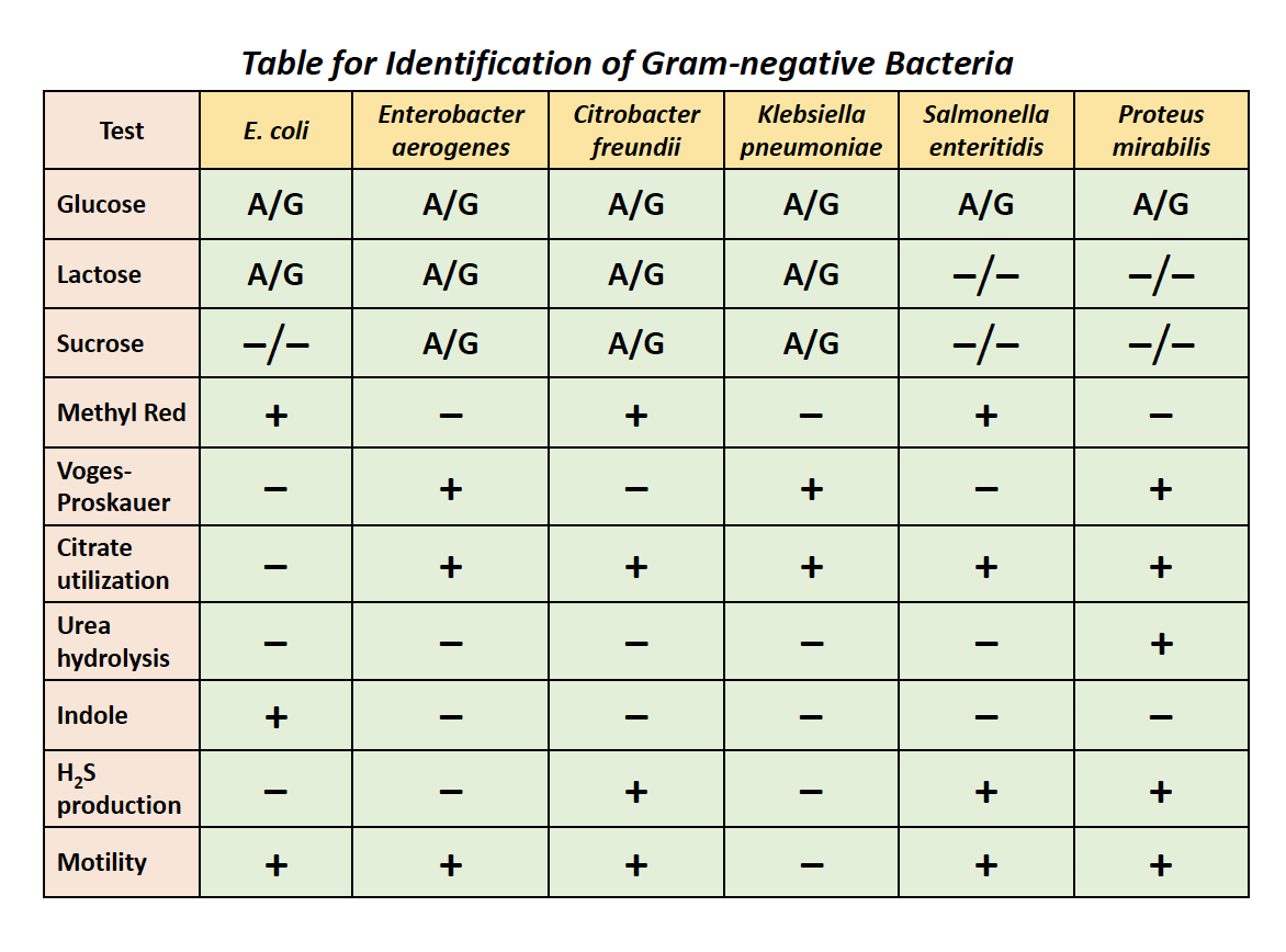 Solved ALL THE SLIDES ARE GIVEN BELOW. SOLVE THIS TABLE IN | Chegg.com