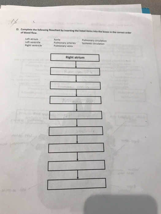 Solved 2) Complete the following flowchart by inserting the | Chegg.com