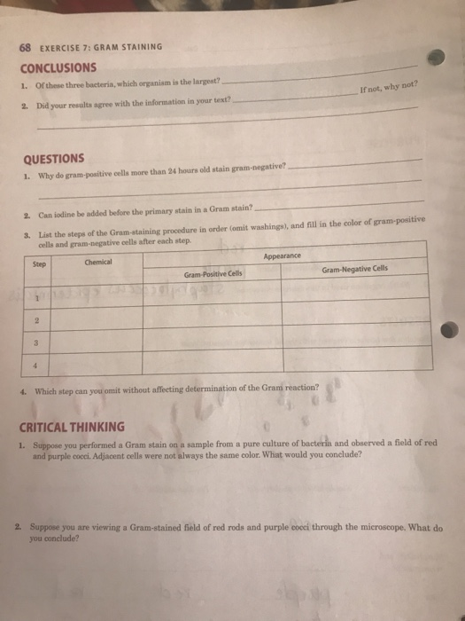 Solved 68 EXERCISE 7 GRAM STAINING CONCLUSIONS 1. Of these